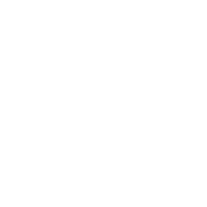 Penn Arms